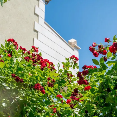 Andjelka-4 By Interhome شقة