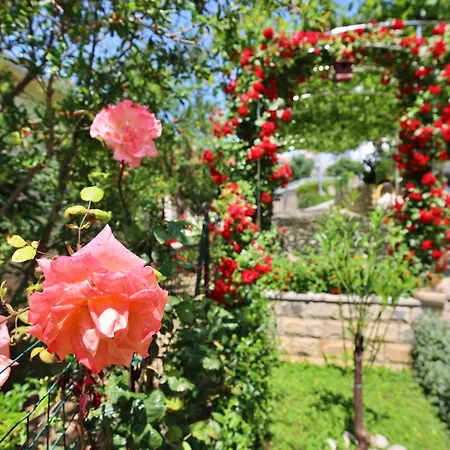 Andjelka-4 By Interhome * تروغير