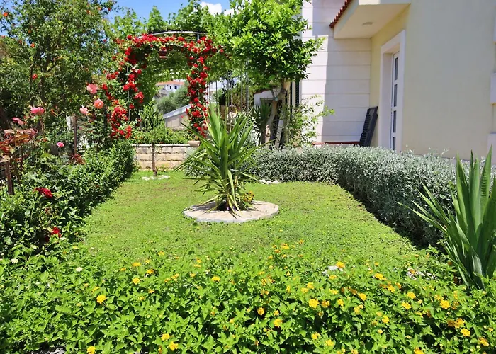 Andjelka-4 By Interhome Appartement *