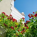 Andjelka-4 By Interhome Apartman